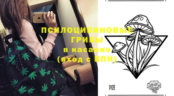 спайс Заволжье