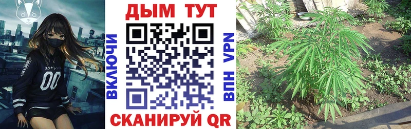 Купить где  Калязин  Бошки марихуана Ganja 